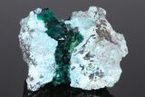 Dioptase Crystals In Shattackite - Congo #175957-1